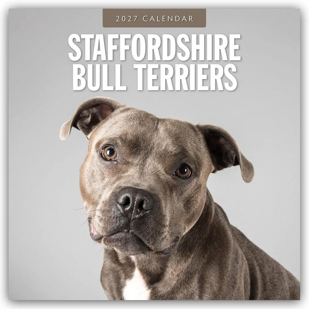 Cover: 9781837013012 | Staffordshire Bull Terriers - Staffordshire Bullterrier 2027 -...
