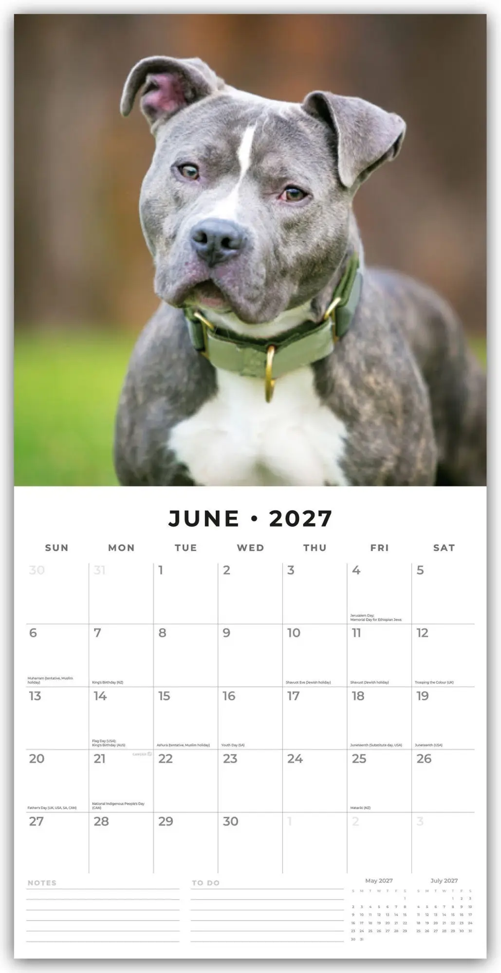 Bild: 9781837013012 | Staffordshire Bull Terriers - Staffordshire Bullterrier 2027 -...
