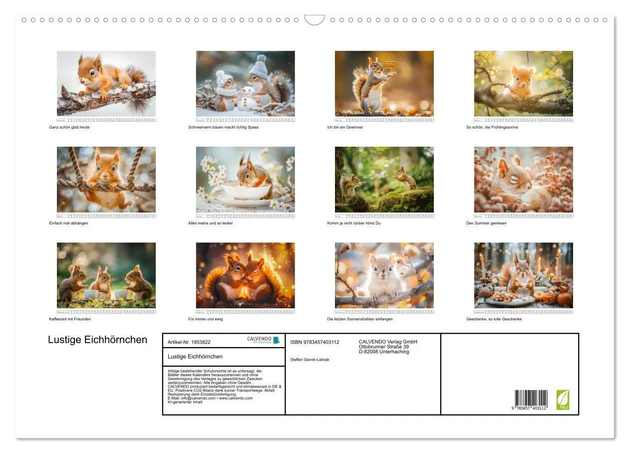 Bild: 9783457403112 | Lustige Eichhörnchen (Wandkalender 2026 DIN A2 quer), CALVENDO...