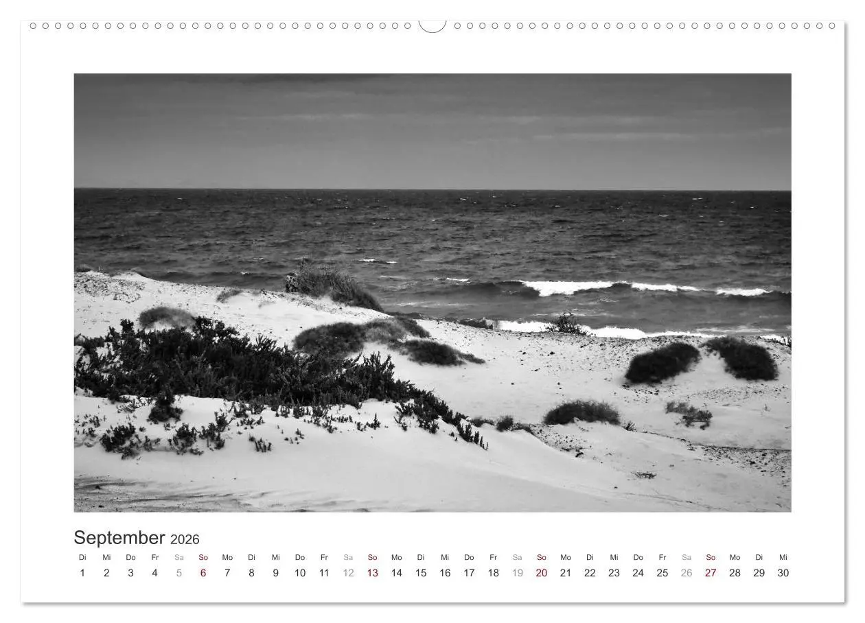 Bild: 9783457713112 | Monochrom Meer (hochwertiger Premium Wandkalender 2026 DIN A2...