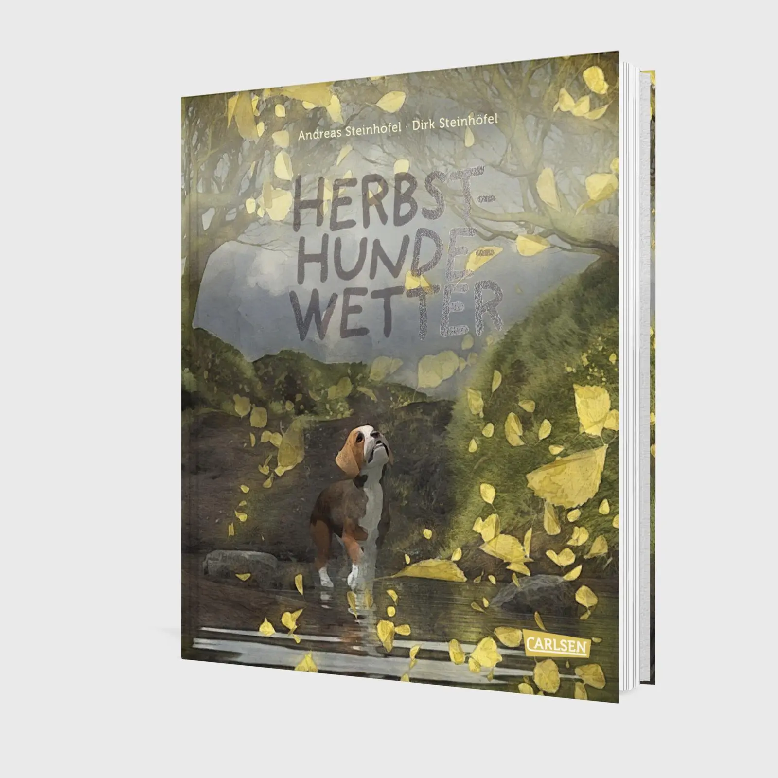 Bild: 9783551523112 | Herbsthundewetter | Andreas Steinhöfel | Buch | 40 S. | Deutsch | 2025