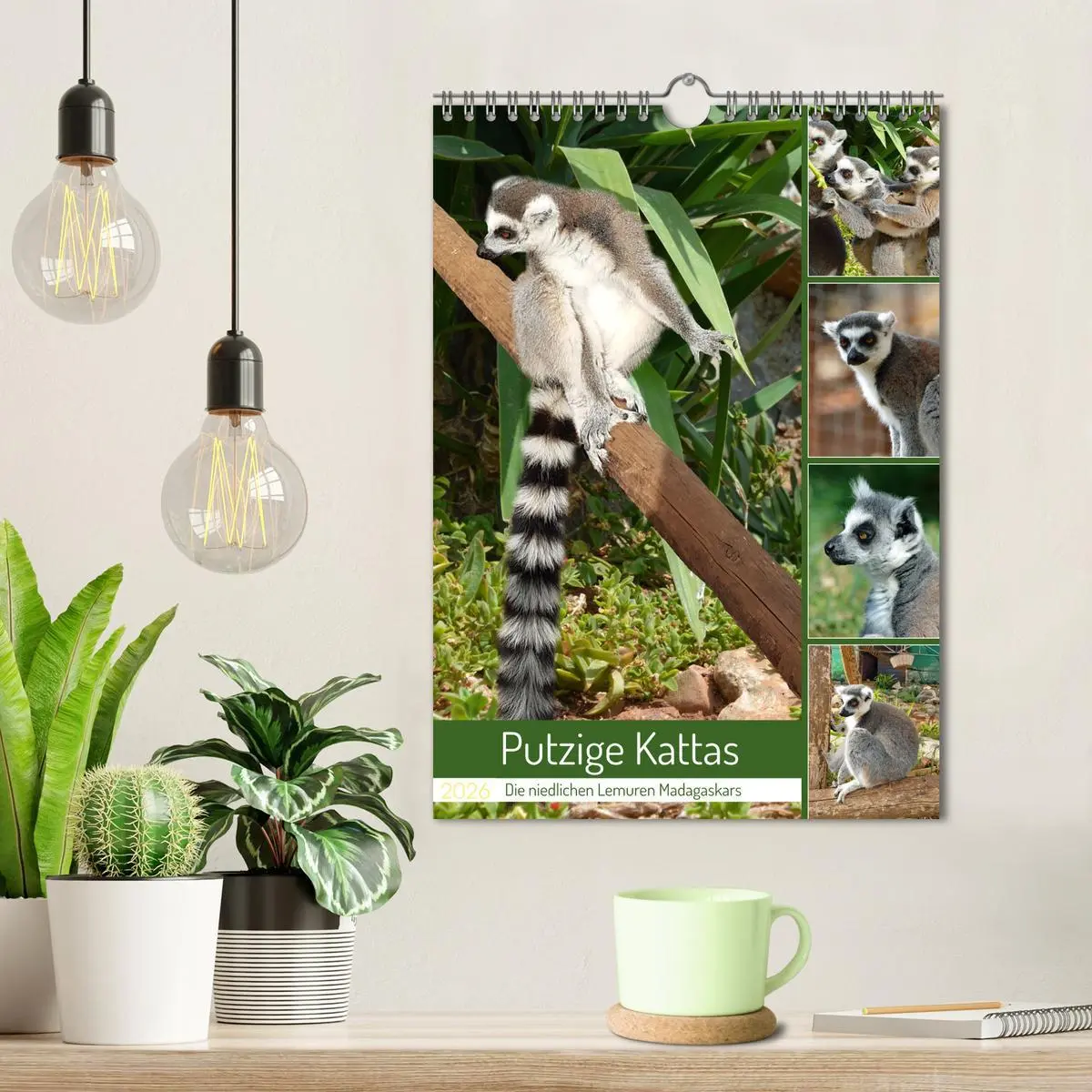 Bild: 9783516343212 | Putzige Kattas (Wandkalender 2026 DIN A4 hoch), CALVENDO...