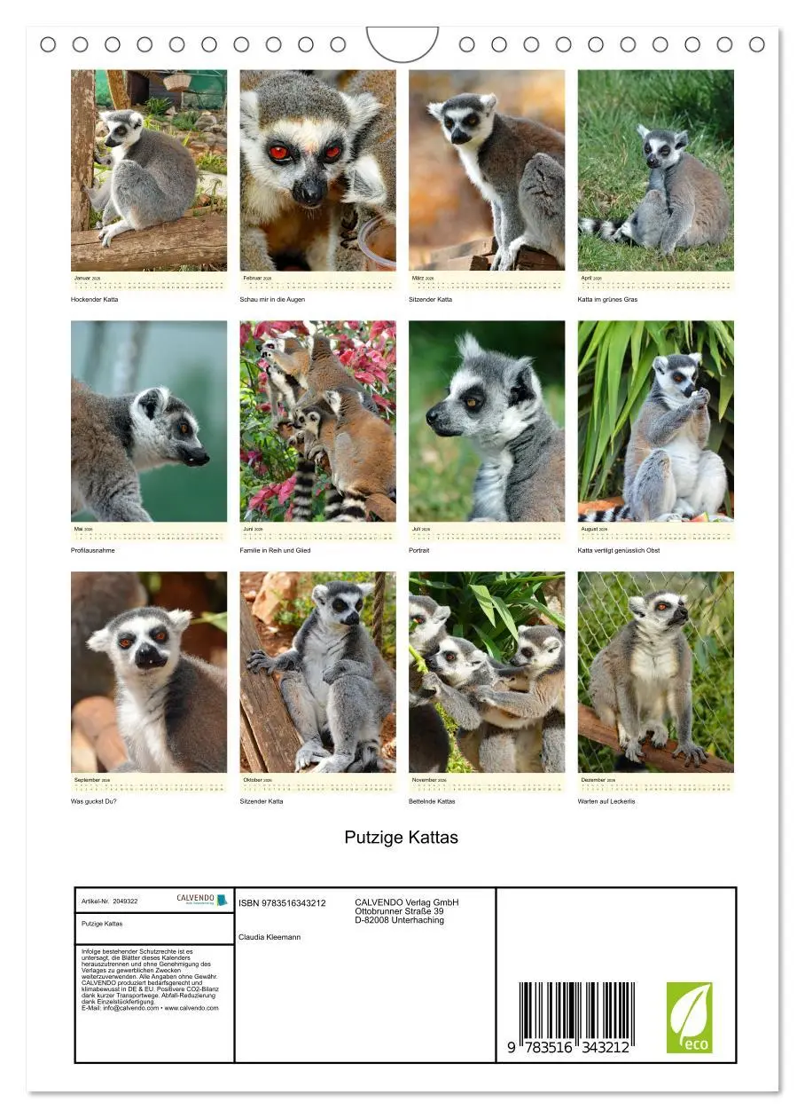 Bild: 9783516343212 | Putzige Kattas (Wandkalender 2026 DIN A4 hoch), CALVENDO...