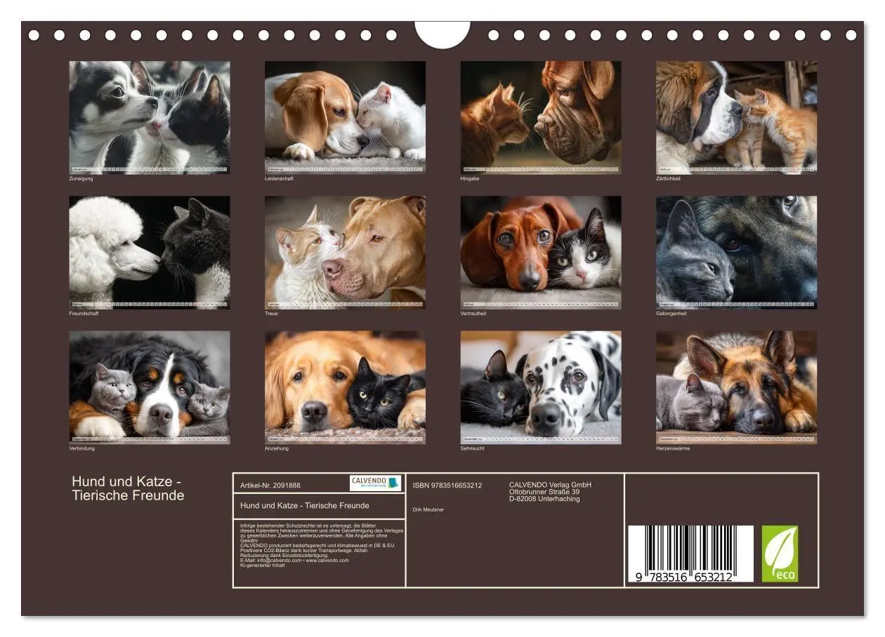 Bild: 9783516653212 | Hund und Katze - Tierische Freunde (Wandkalender 2026 DIN A4 quer),...
