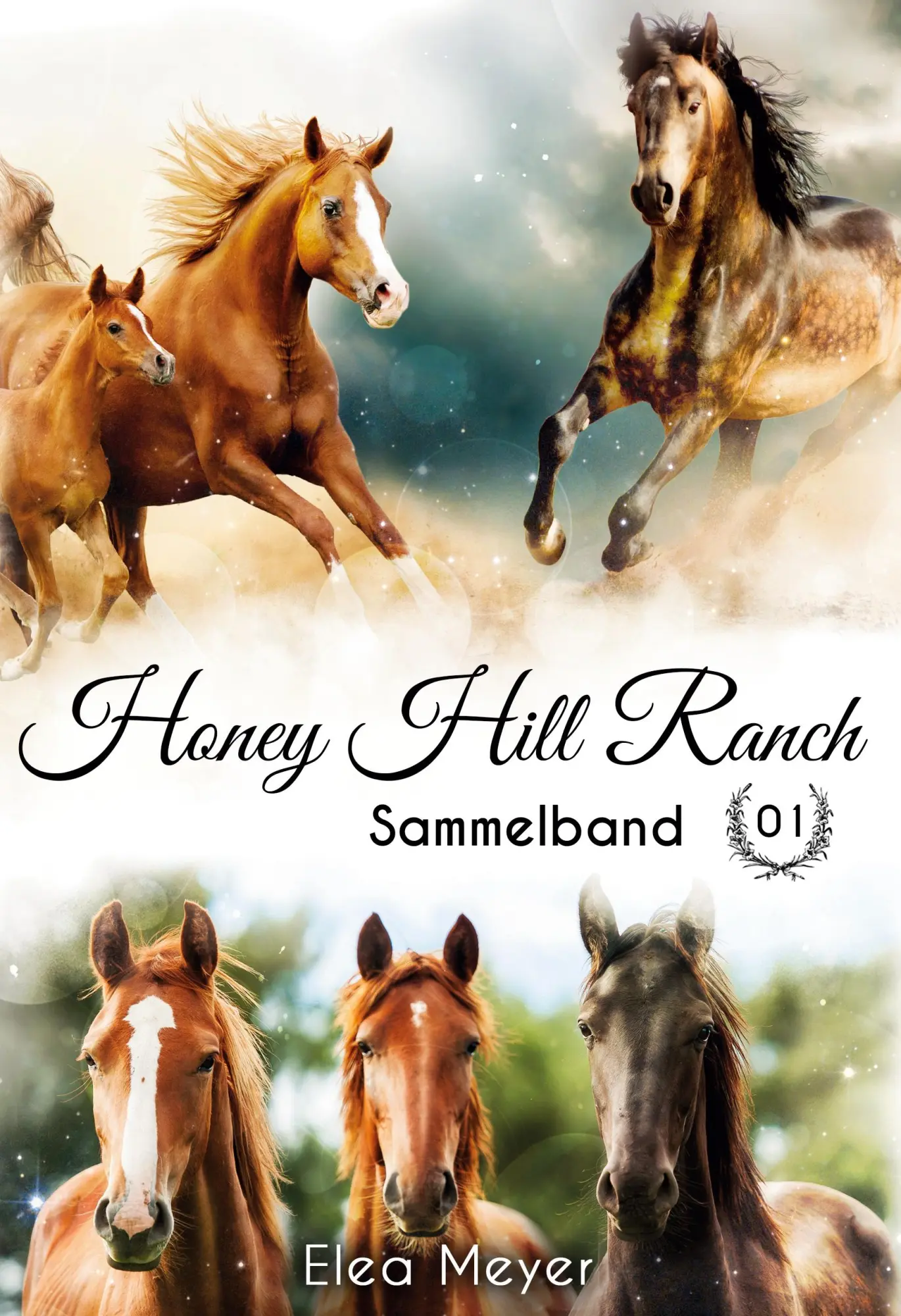 Cover: 9783750433212 | Honey Hill Ranch | Sammelband 1 | Elea Meyer | Buch | 328 S. | Deutsch