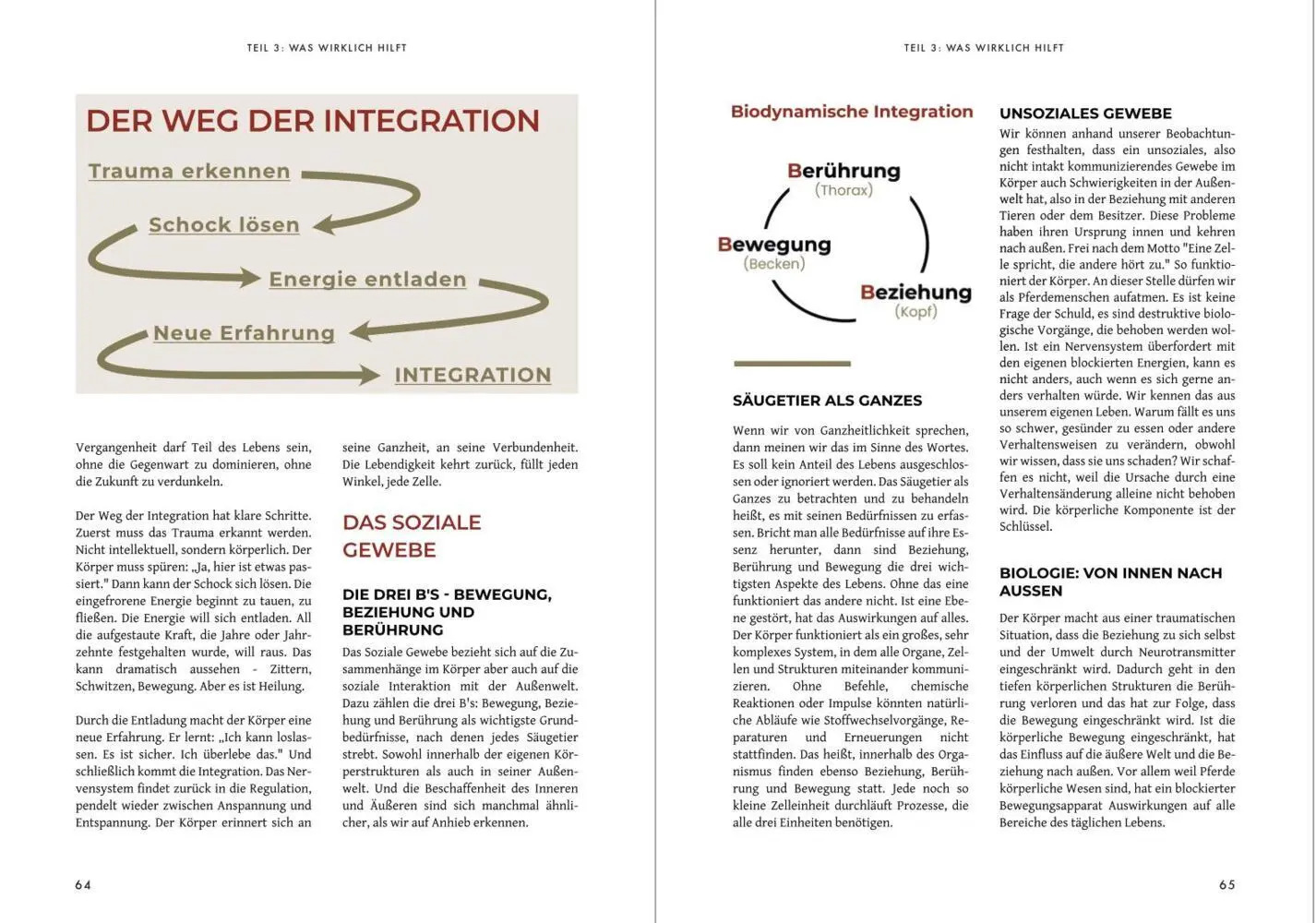 Bild: 9783910503212 | KastrationsTrauma - Wenn der Körper nicht mehr zurückfindet | Dörling