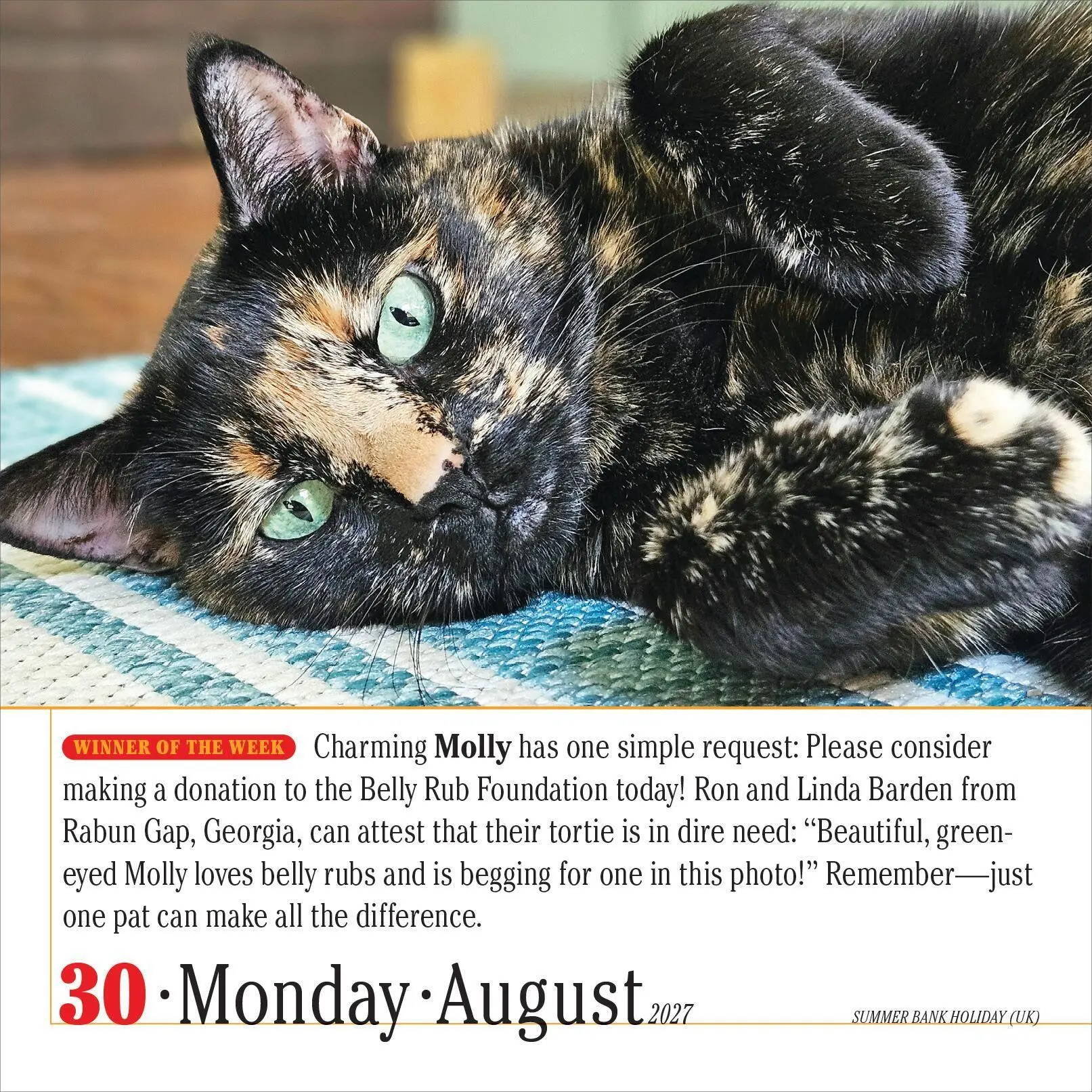 Bild: 9781523533312 | 365 Cats Page-A-Day® Calendar 2027 | The World's Favorite Cat Calendar