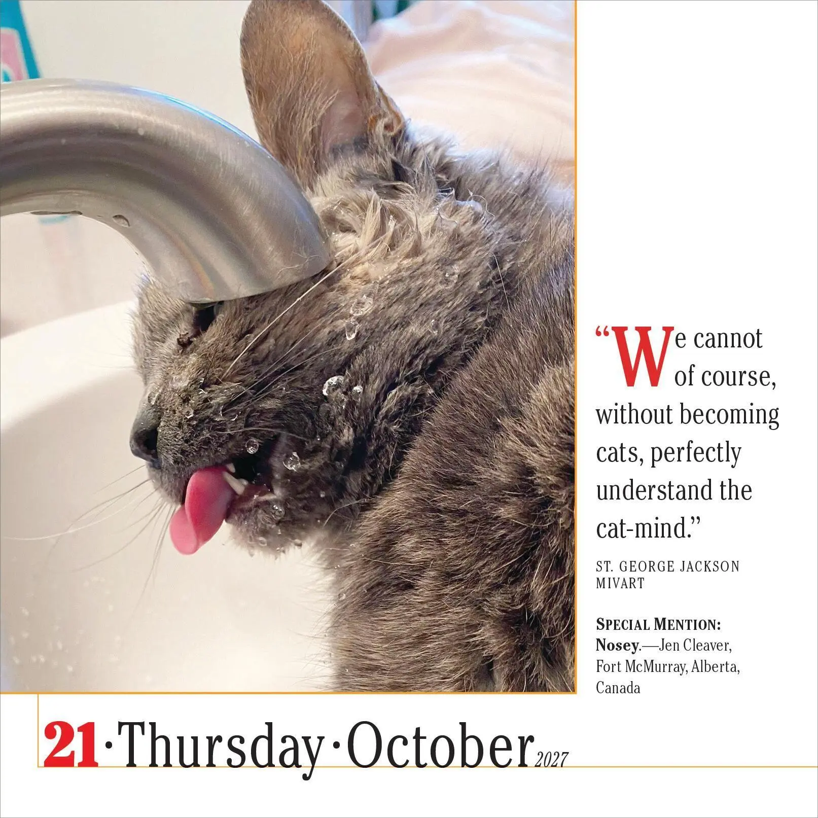 Bild: 9781523533312 | 365 Cats Page-A-Day® Calendar 2027 | The World's Favorite Cat Calendar