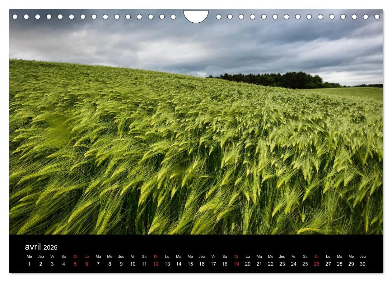Bild: 9783516573312 | Ambiances Ariège Pyrénées (Calendrier mural 2026 DIN A4 vertical),...