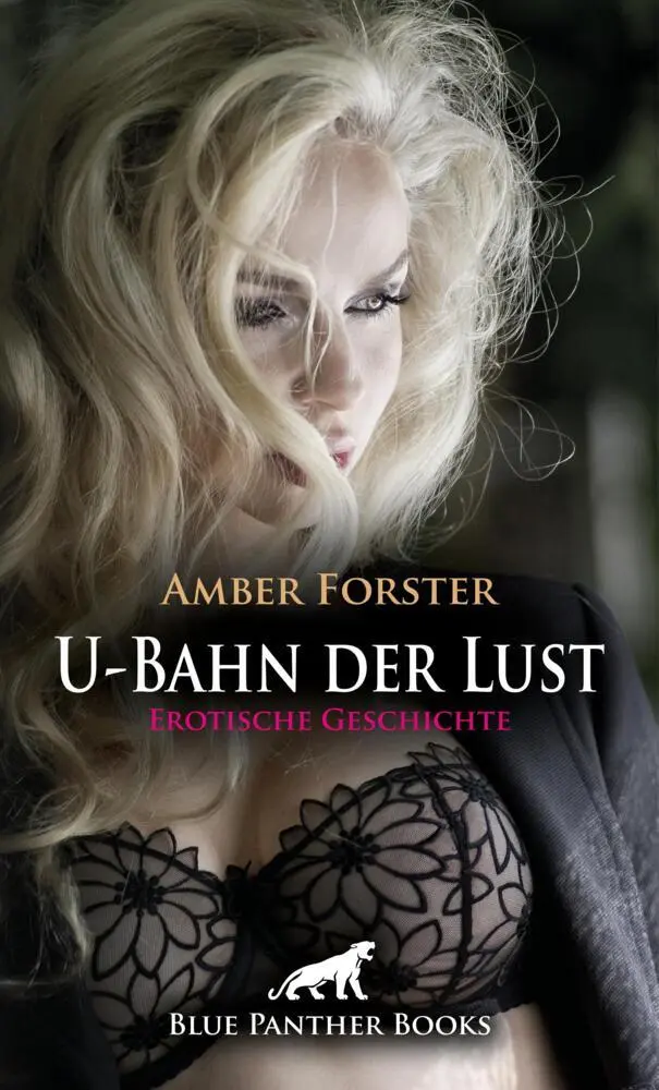 Cover: 9783756153312 | U-Bahn der Lust Erotische Geschichte + 4 weitere Geschichten | Buch