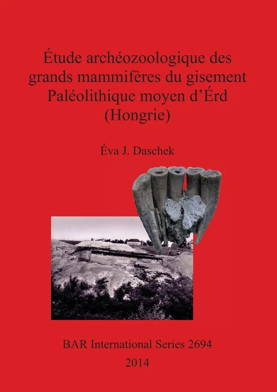 Cover: 9781407313412 | Étude archéozoologique des grands mammifères du gisement...