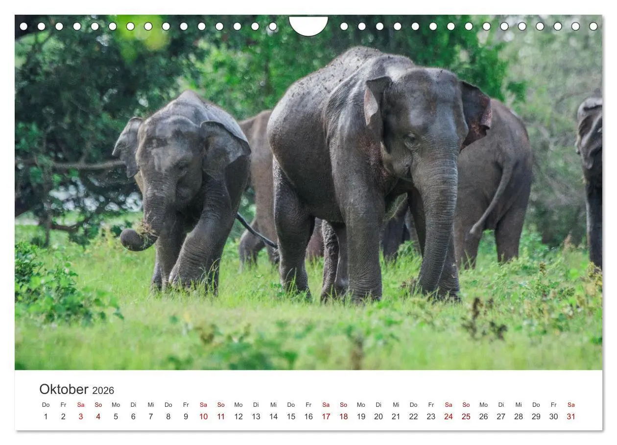 Bild: 9783457613412 | Sri Lanka - Eine einzigartige Trauminsel. (Wandkalender 2026 DIN A4...