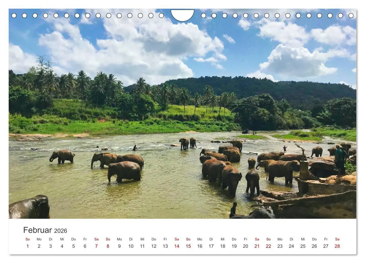 Bild: 9783457613412 | Sri Lanka - Eine einzigartige Trauminsel. (Wandkalender 2026 DIN A4...