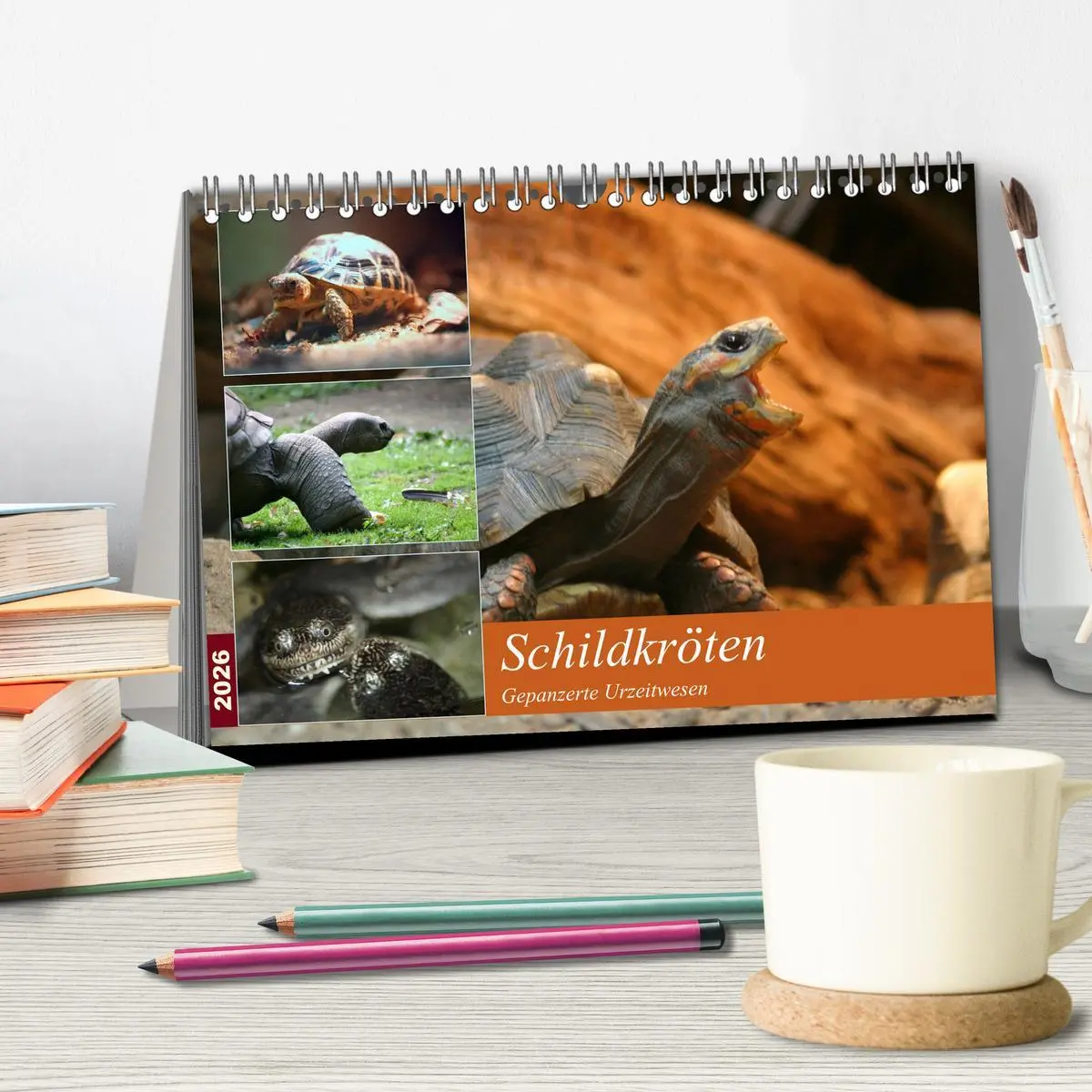 Bild: 9783516183412 | Schildkröten - Gepanzerte Urzeitwesen (Tischkalender 2026 DIN A5...