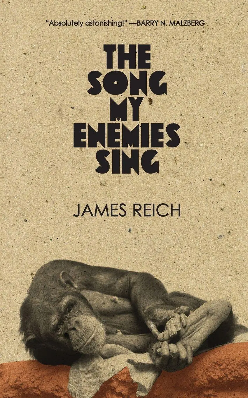 Cover: 9780999153512 | The Song My Enemies Sing | James Reich | Taschenbuch | Englisch | 2018
