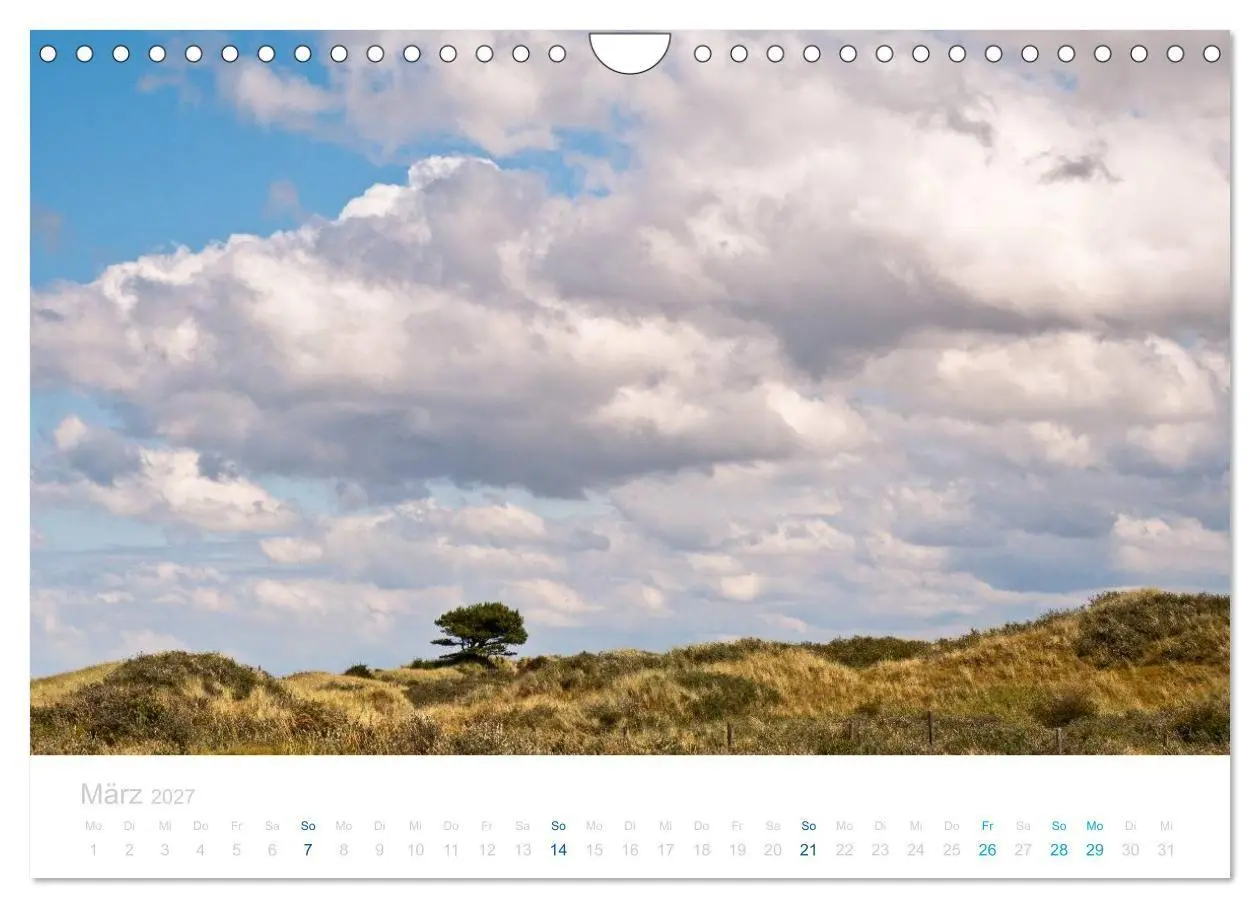 Bild: 9783594223512 | Ameland (Wandkalender 2027 DIN A4 quer), CALVENDO Monatskalender