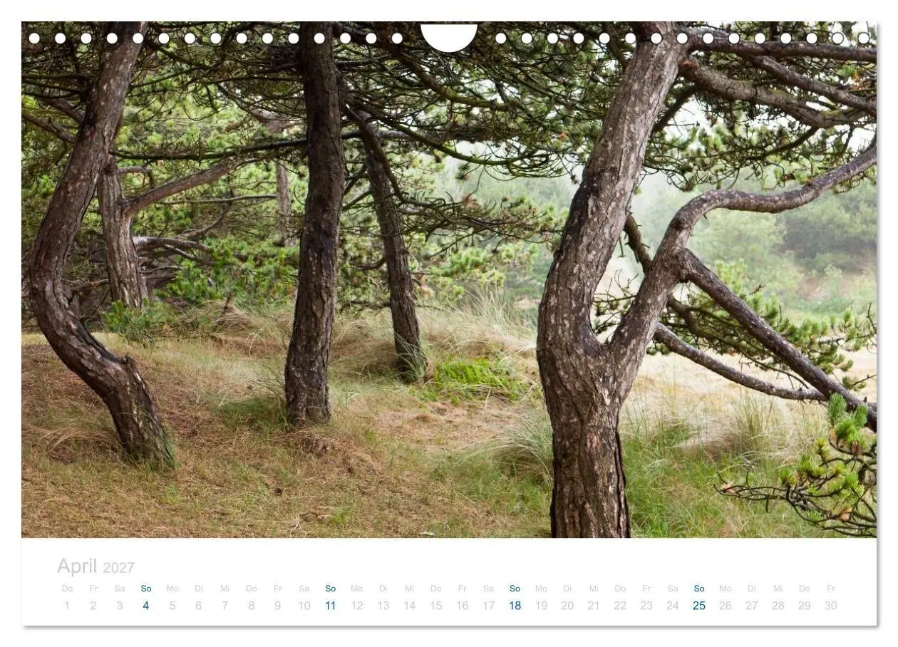 Bild: 9783594223512 | Ameland (Wandkalender 2027 DIN A4 quer), CALVENDO Monatskalender