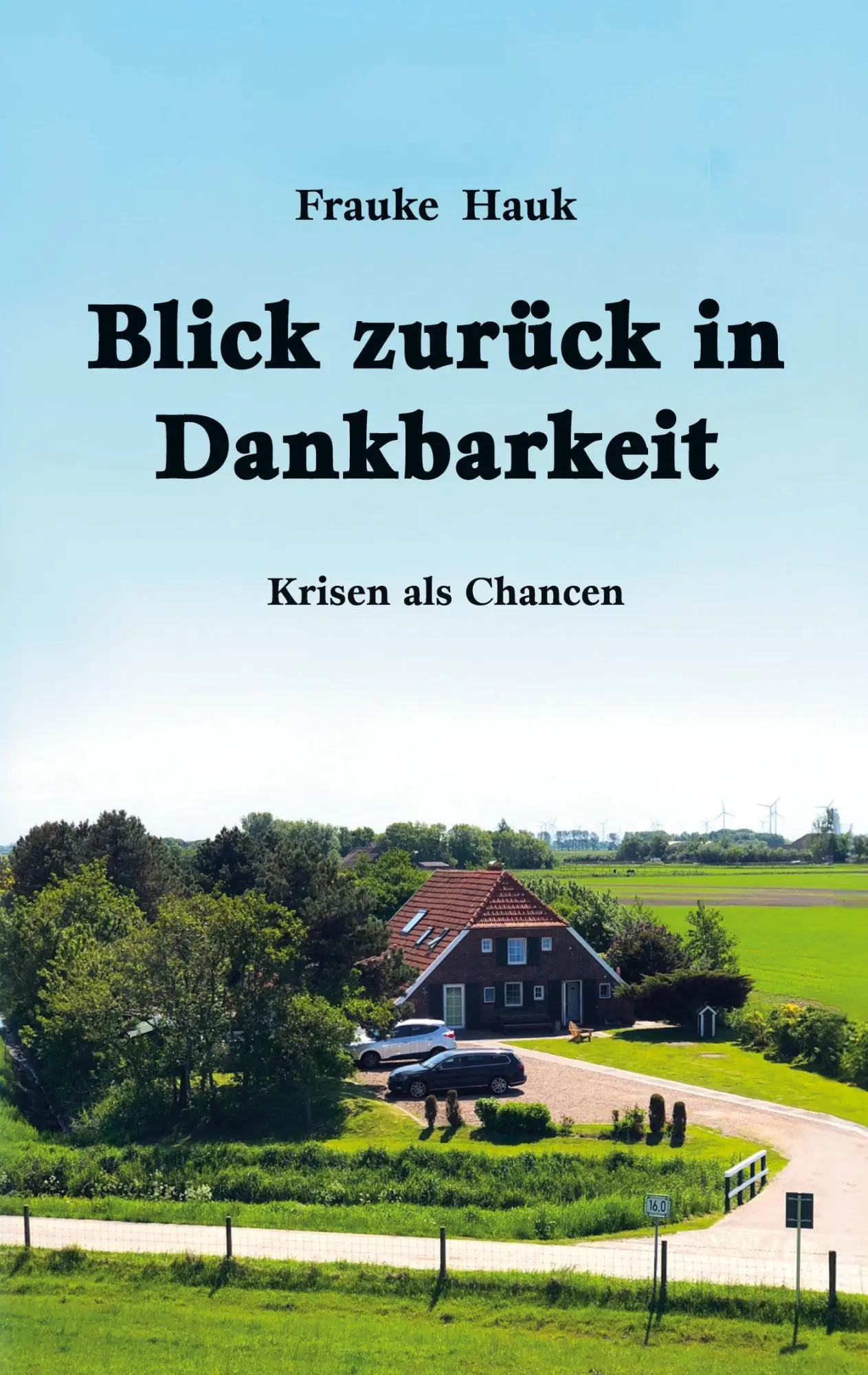 Cover: 9783819283512 | Blick zurück in Dankbarkeit | Frauke Hauk | Taschenbuch | 374 S.