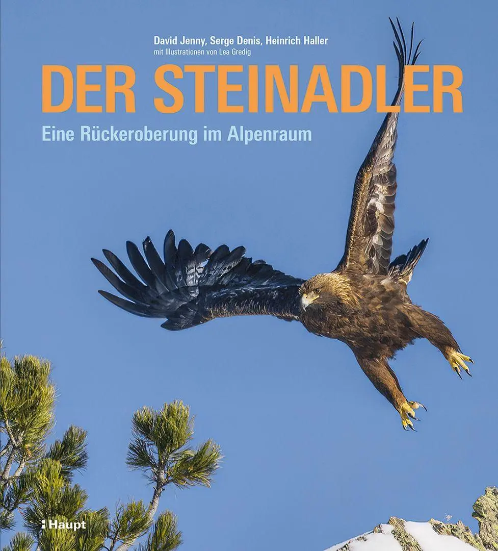 Cover: 9783258083612 | Der Steinadler | Eine Rückeroberung im Alpenraum | David Jenny (u. a.) Cover: 9783258083612 | Der Steinadler | Eine Rückeroberung im Alpenraum | David Jenny (u. a.)