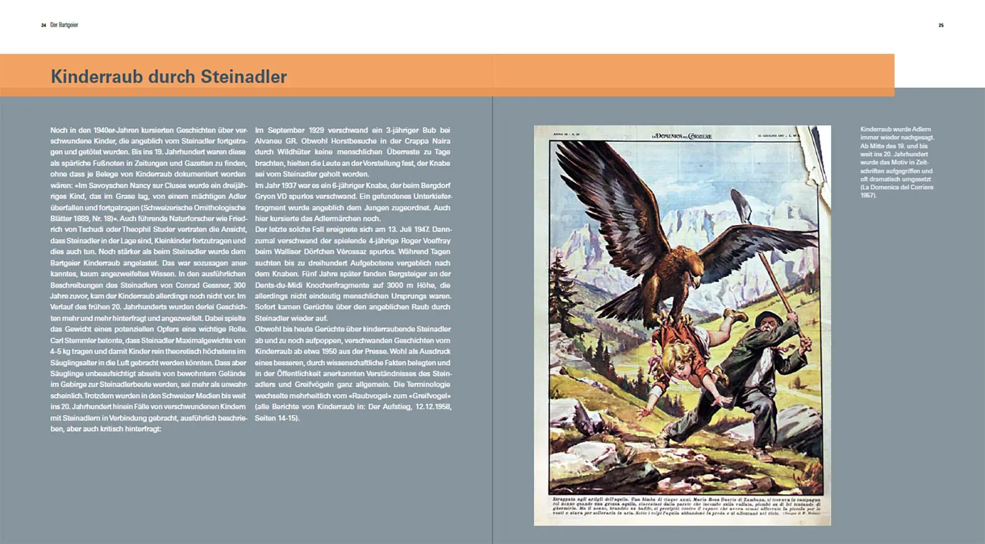 Bild: 9783258083612 | Der Steinadler | Eine Rückeroberung im Alpenraum | David Jenny (u. a.)