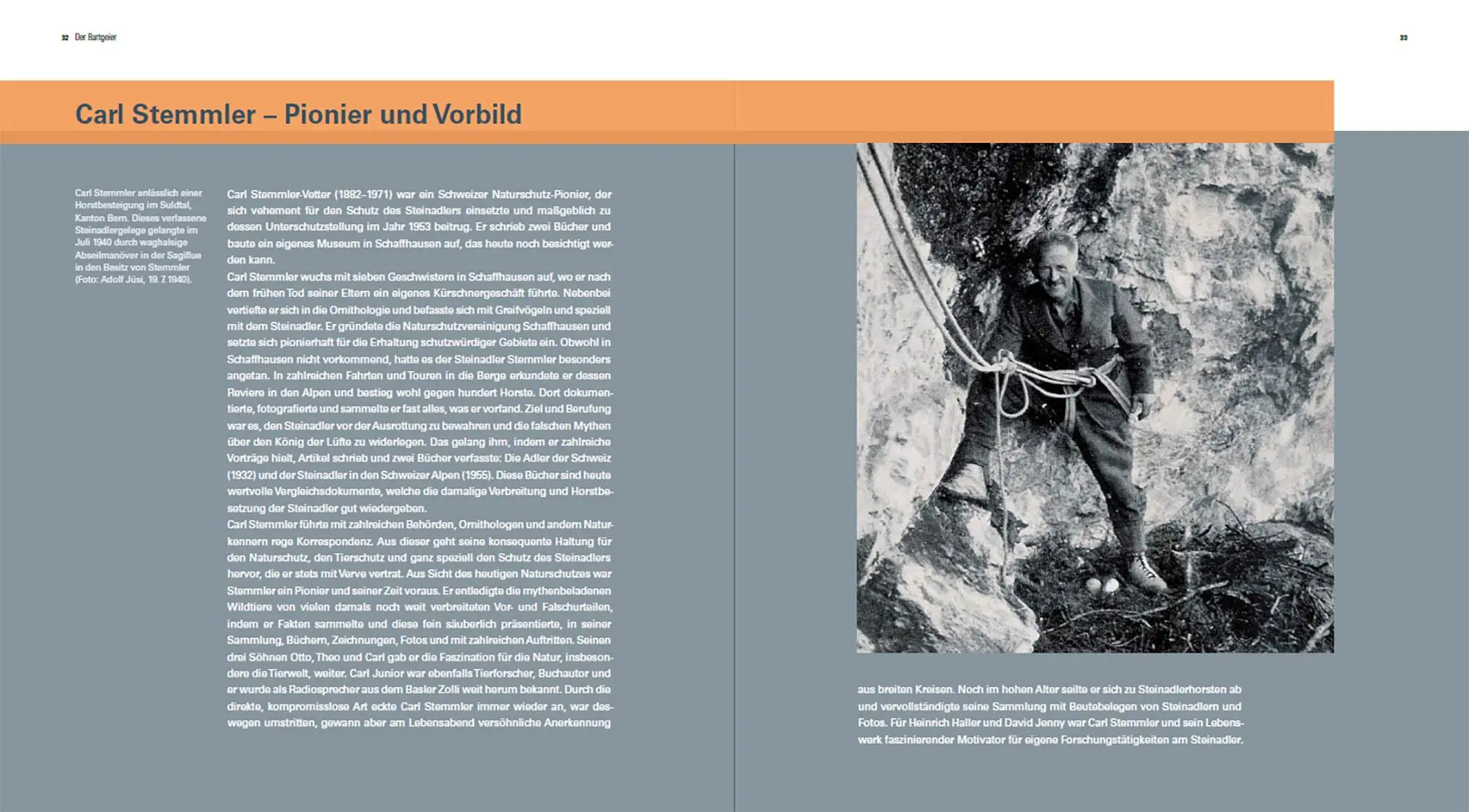 Bild: 9783258083612 | Der Steinadler | Eine Rückeroberung im Alpenraum | David Jenny (u. a.)