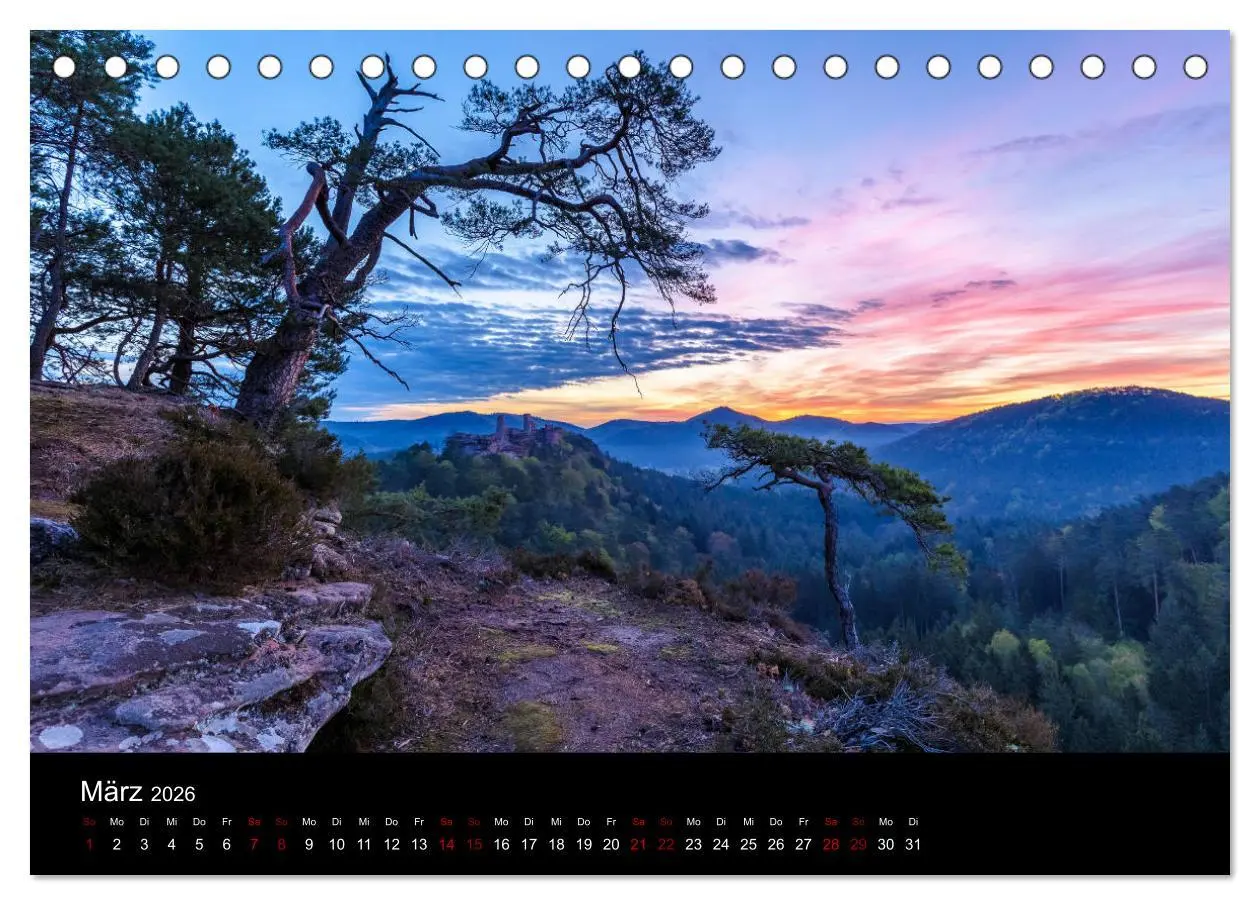 Bild: 9783457763612 | Sagenhafter Pfälzerwald (Tischkalender 2026 DIN A5 quer), CALVENDO...