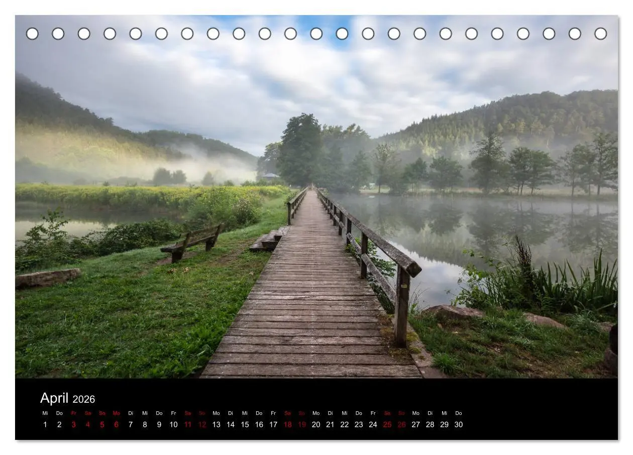 Bild: 9783457763612 | Sagenhafter Pfälzerwald (Tischkalender 2026 DIN A5 quer), CALVENDO...