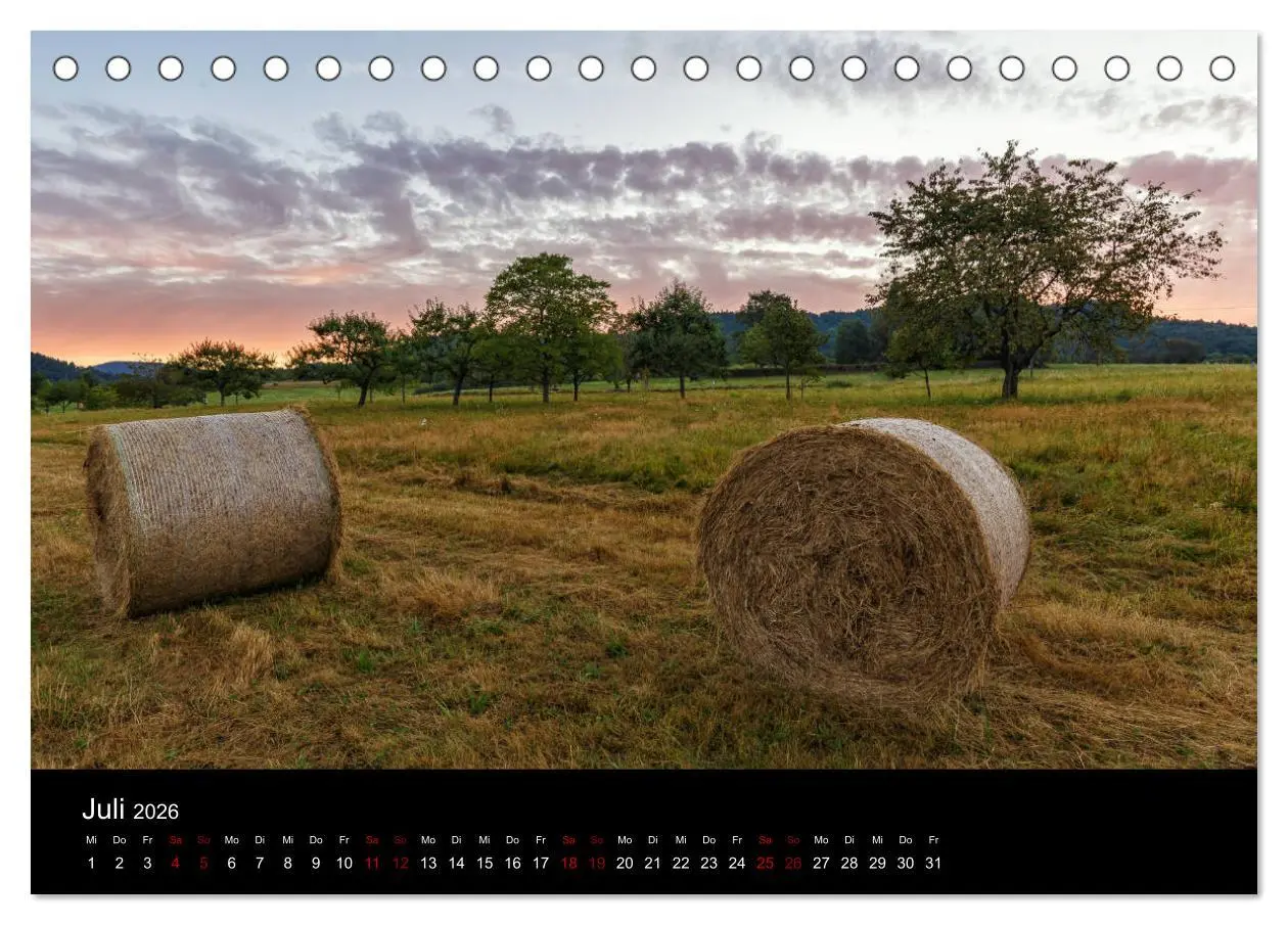 Bild: 9783457763612 | Sagenhafter Pfälzerwald (Tischkalender 2026 DIN A5 quer), CALVENDO...