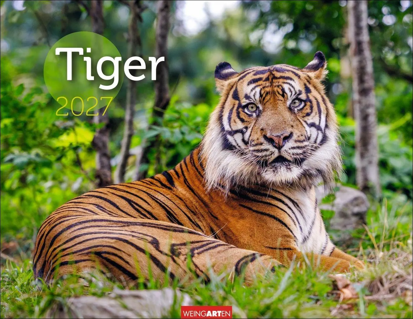 Cover: 9783839903612 | Tiger Kalender 2027 | Kalender | Tierkalender Weingarten | 14 S.
