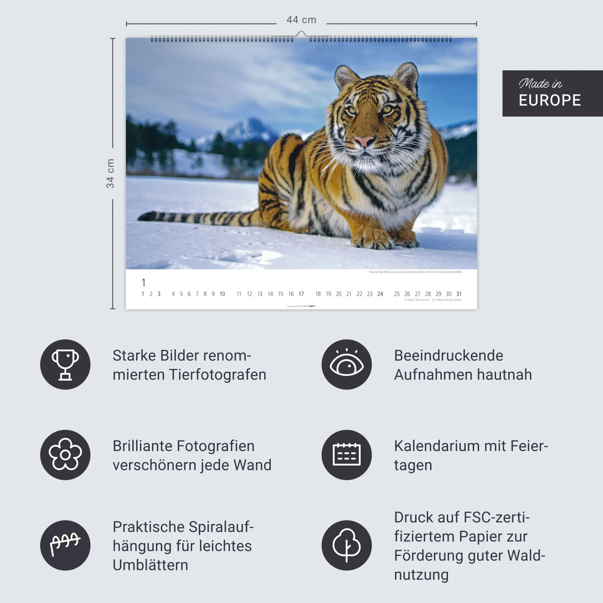 Bild: 9783839903612 | Tiger Kalender 2027 | Kalender | Tierkalender Weingarten | 14 S.