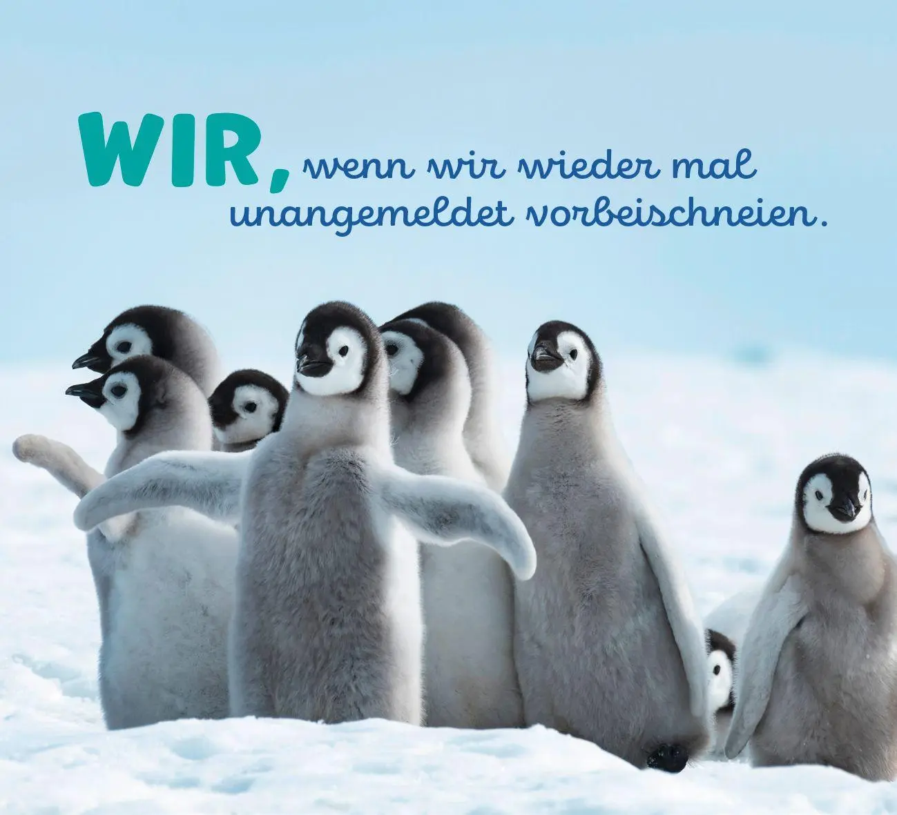 Bild: 9783848503612 | Tierisch happy jeden Tag | Paulus Vennebusch | Taschenbuch | 52 S.