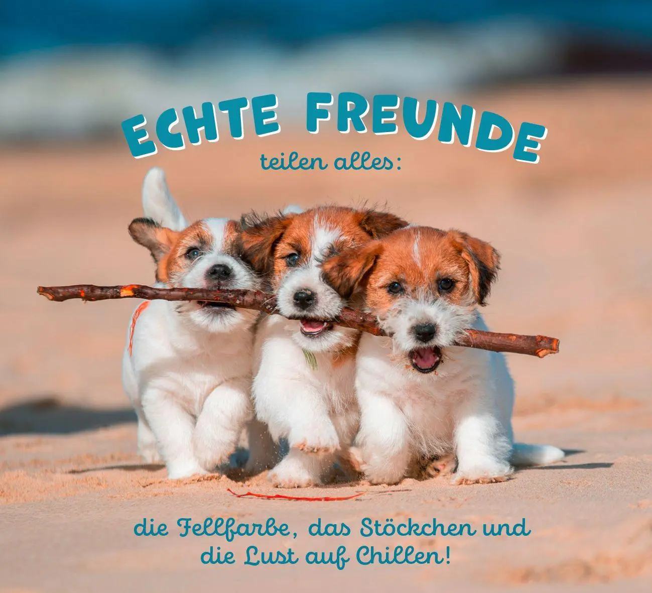 Bild: 9783848503612 | Tierisch happy jeden Tag | Paulus Vennebusch | Taschenbuch | 52 S.
