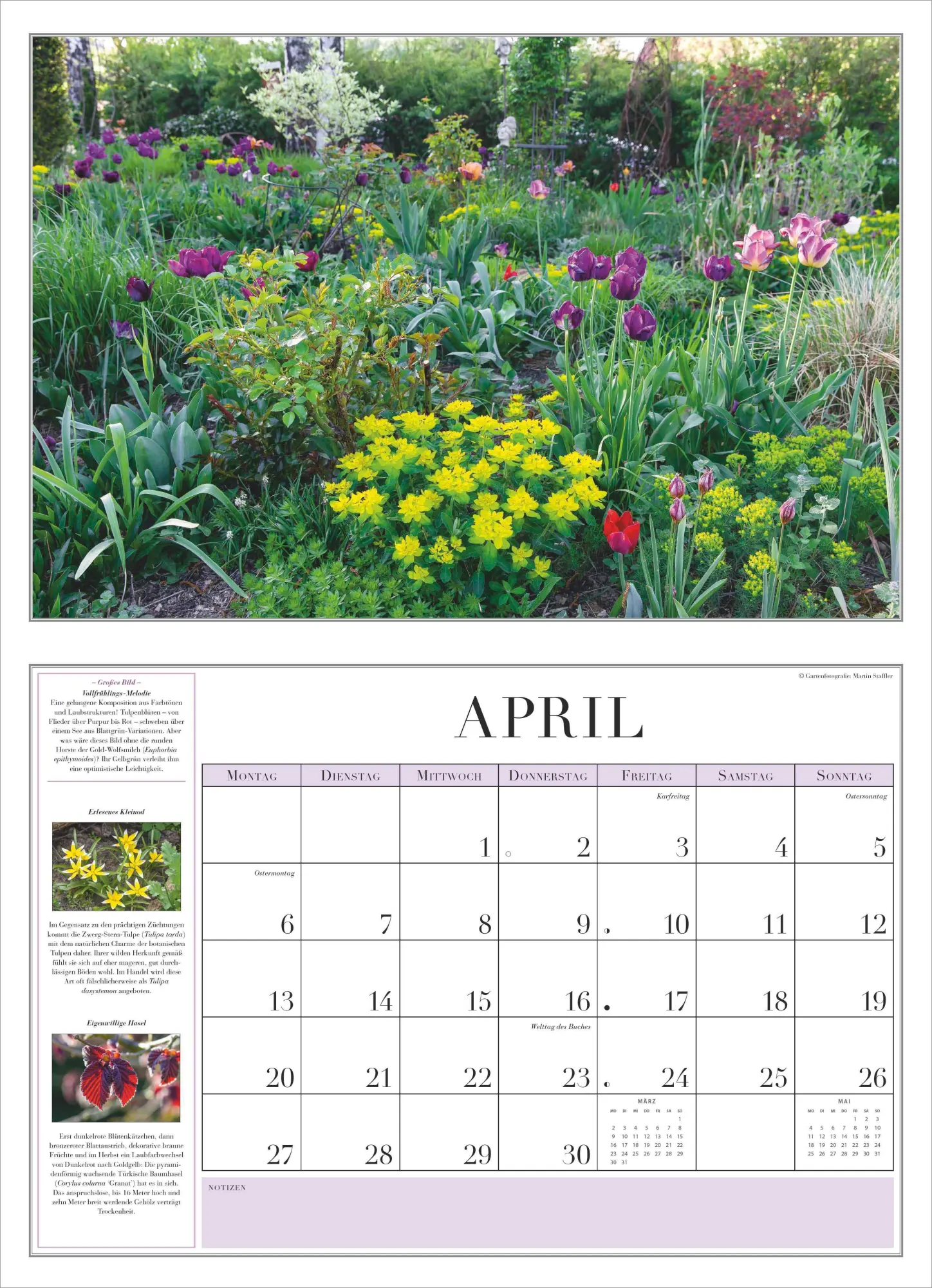 Bild: 4069095003712 | Garten-Kalender 2026 - Broschürenkalender - mit informativen Texten...