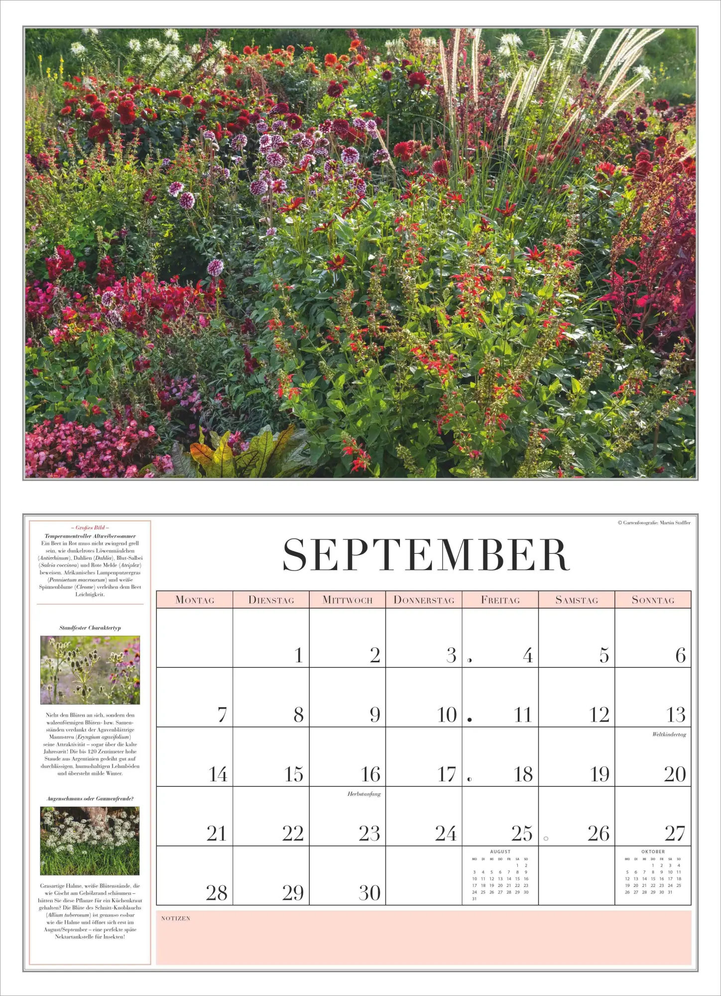 Bild: 4069095003712 | Garten-Kalender 2026 - Broschürenkalender - mit informativen Texten...