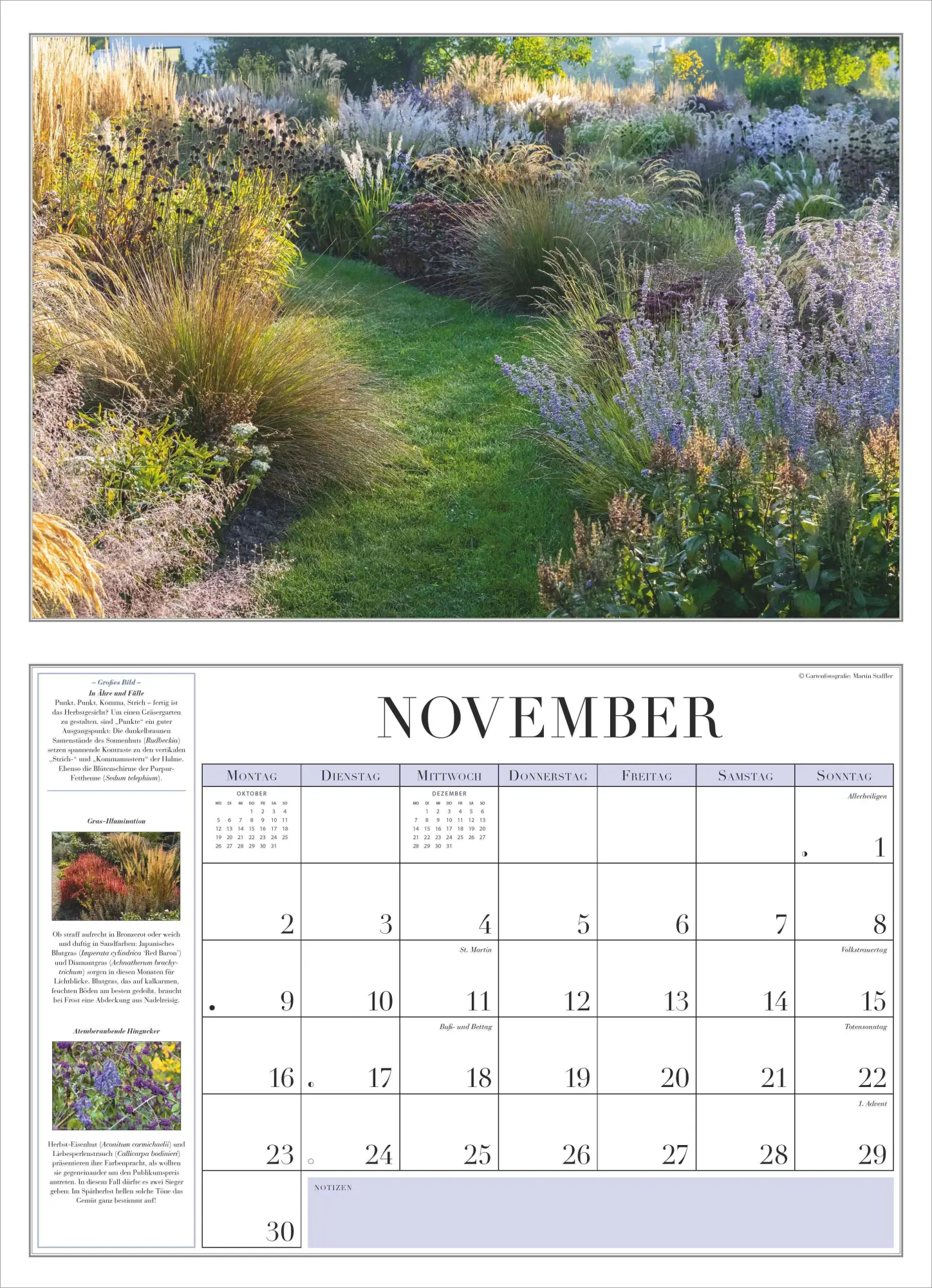 Bild: 4069095003712 | Garten-Kalender 2026 - Broschürenkalender - mit informativen Texten...