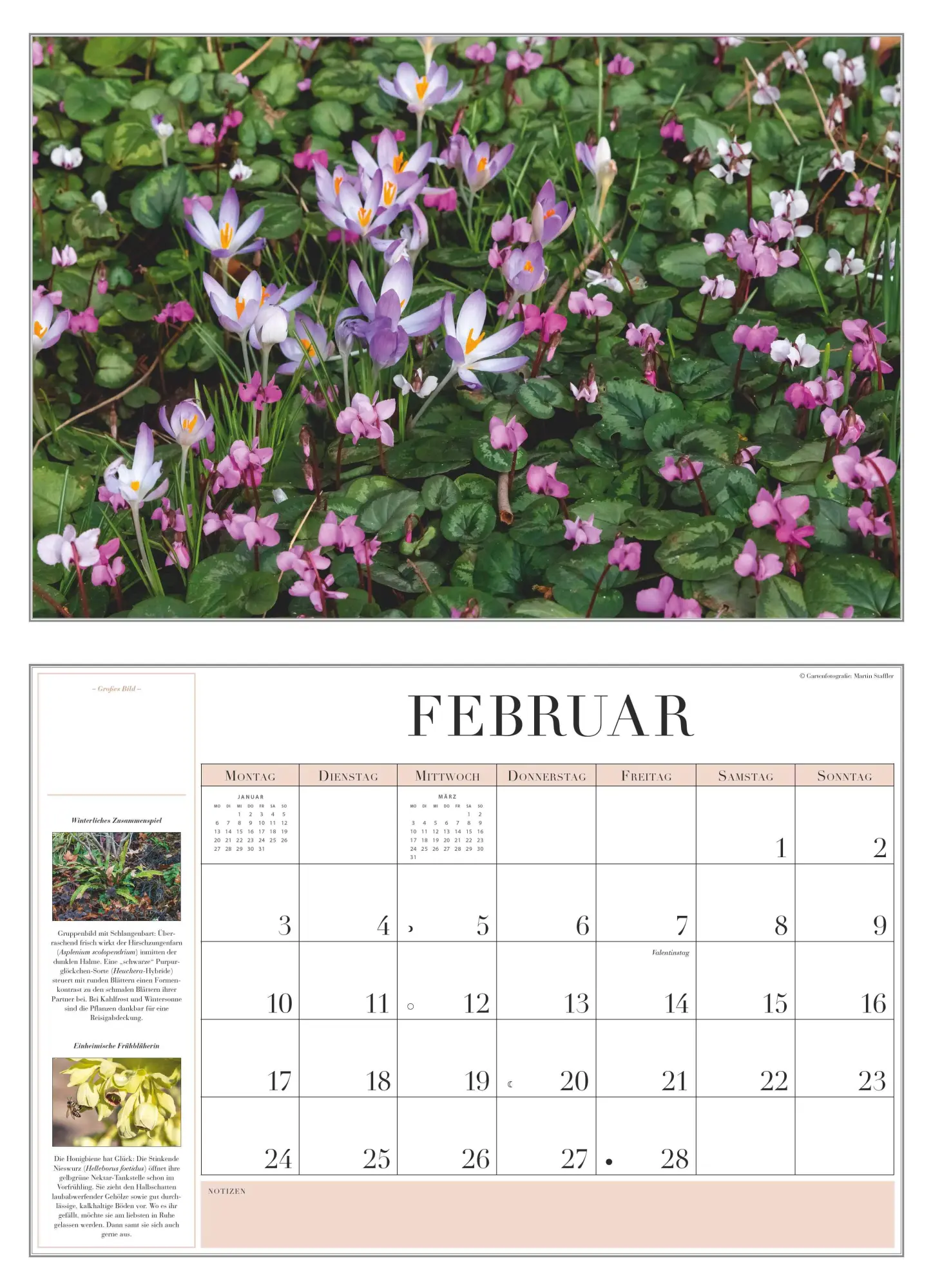 Bild: 4069095003712 | Garten-Kalender 2026 - Broschürenkalender - mit informativen Texten...