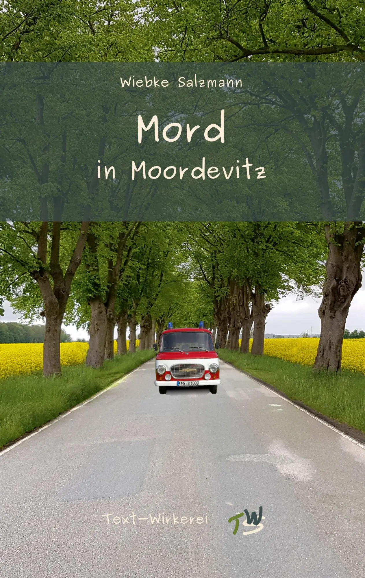 Cover: 9783347553712 | Mord in Moordevitz | Ein Regio-Krimi aus Mecklenburg-Vorpommern | Buch