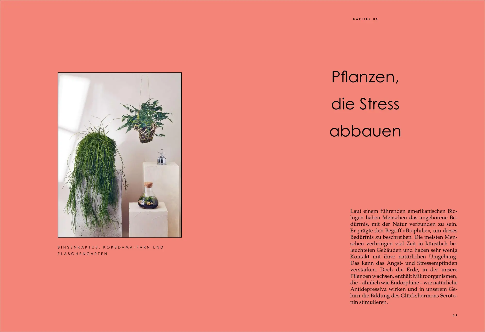Bild: 9783424153712 | Die heilende Kraft der Zimmerpflanzen | Fran Bailey | Buch | 192 S.