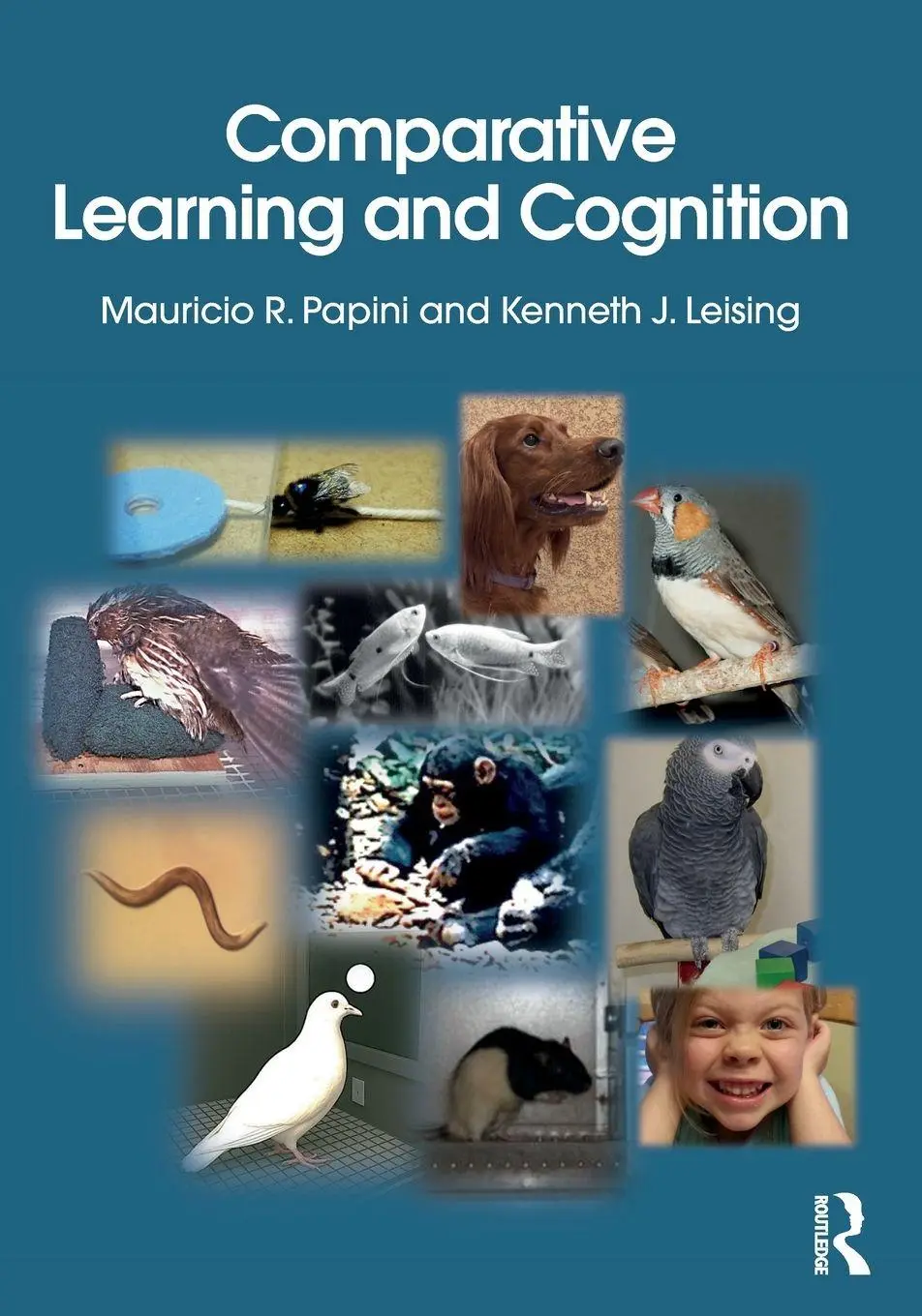 Cover: 9781032513812 | Comparative Learning and Cognition | Kenneth J. Leising (u. a.) | Buch