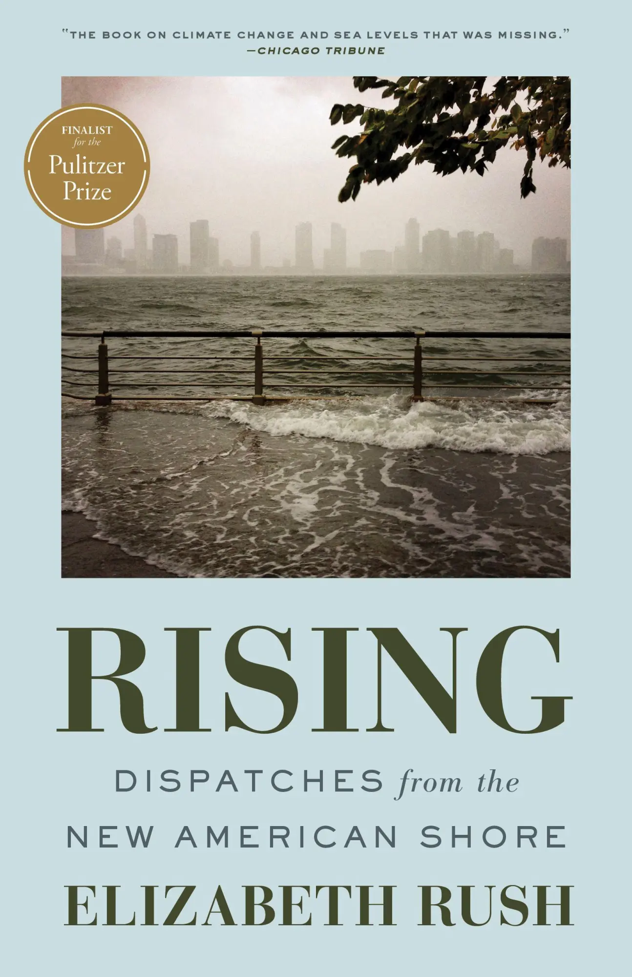 Cover: 9781571313812 | Rising | Dispatches from the New American Shore | Elizabeth Rush