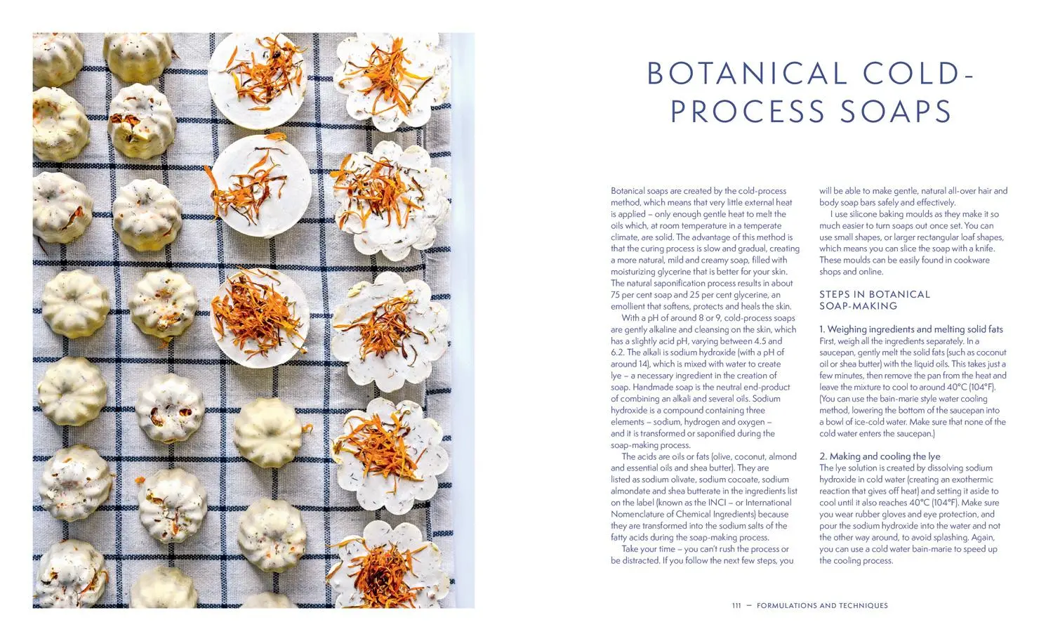 Bild: 9781911663812 | Natural Skincare For All Seasons | Silvana de Soissons | Buch | 2022