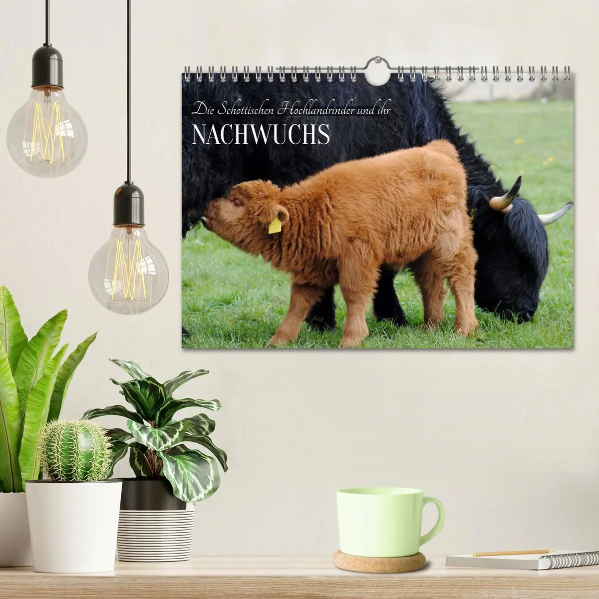 Bild: 9783457363812 | Die Schottischen Hochlandrinder und ihr Nachwuchs (Wandkalender...