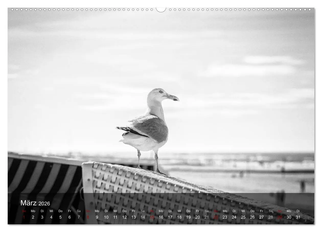 Bild: 9783457743812 | Wangerooge Noir (Wandkalender 2026 DIN A2 quer), CALVENDO...