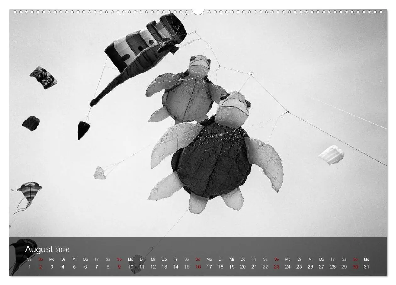 Bild: 9783457743812 | Wangerooge Noir (Wandkalender 2026 DIN A2 quer), CALVENDO...