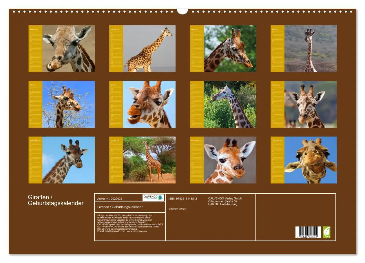Bild: 9783516143812 | Giraffen / Geburtstagskalender (Wandkalender 2026 DIN A2 quer),...