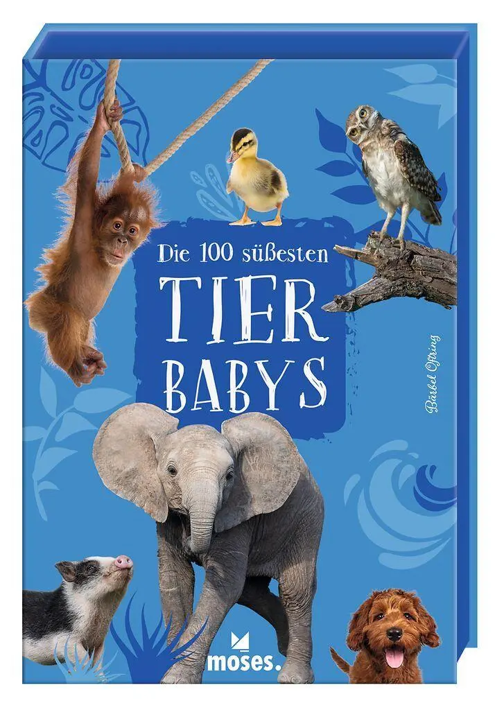 Cover: 9783964553812 | Die 100 süßesten Tierbabys | Bärbel Oftring | Taschenbuch | 100 S.