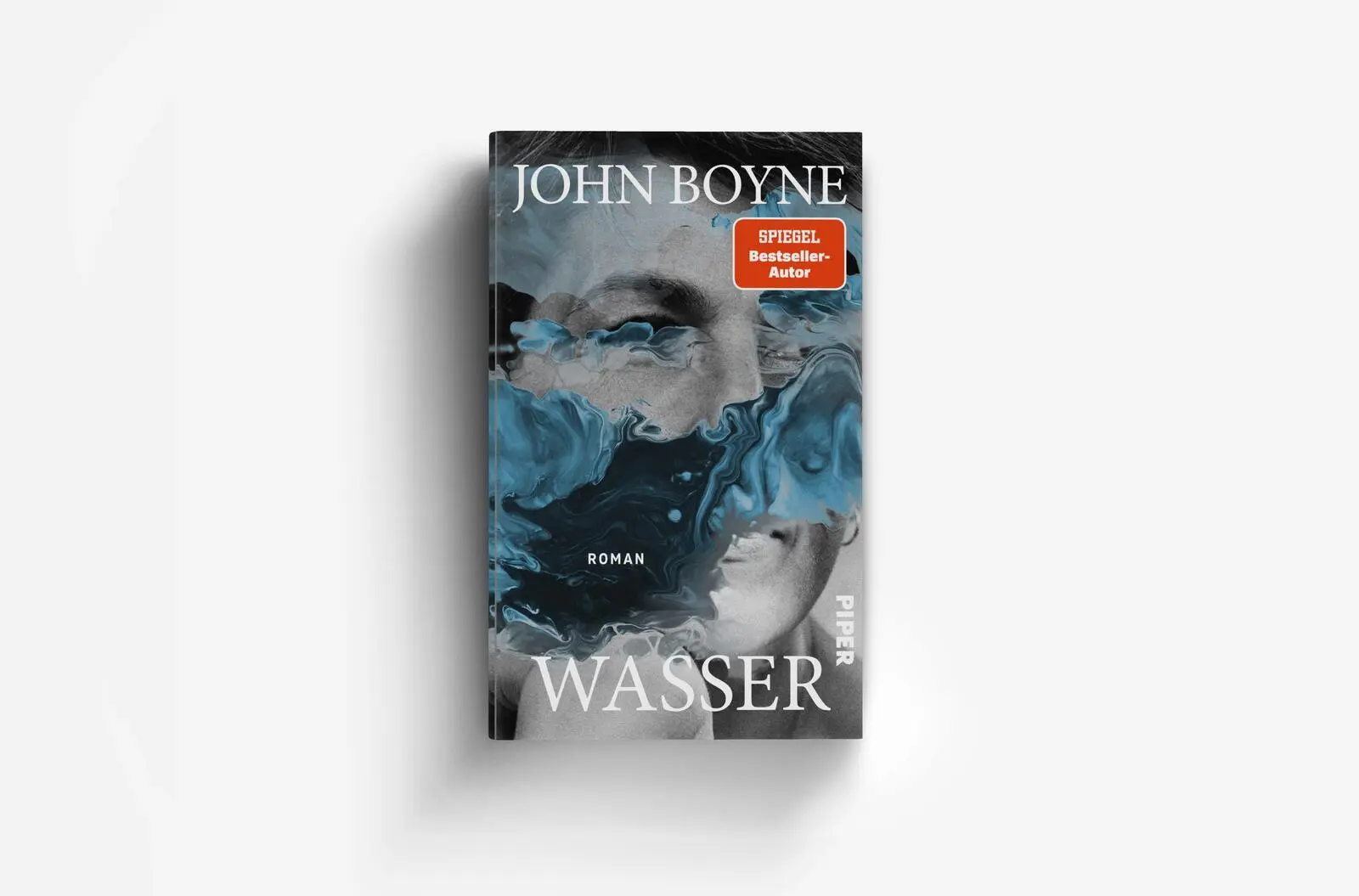 Bild: 9783492073912 | Wasser | Roman Das große Erzählprojekt des irischen Bestsellerautors