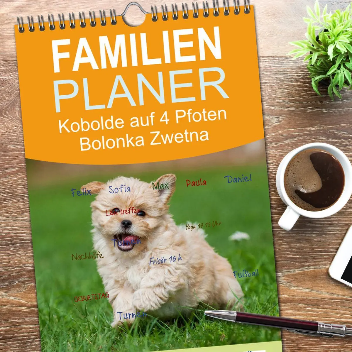 Bild: 9783516513912 | Familienplaner 2026 - Kobolde auf 4 Pfoten - Bolonka Zwetna mit 5...