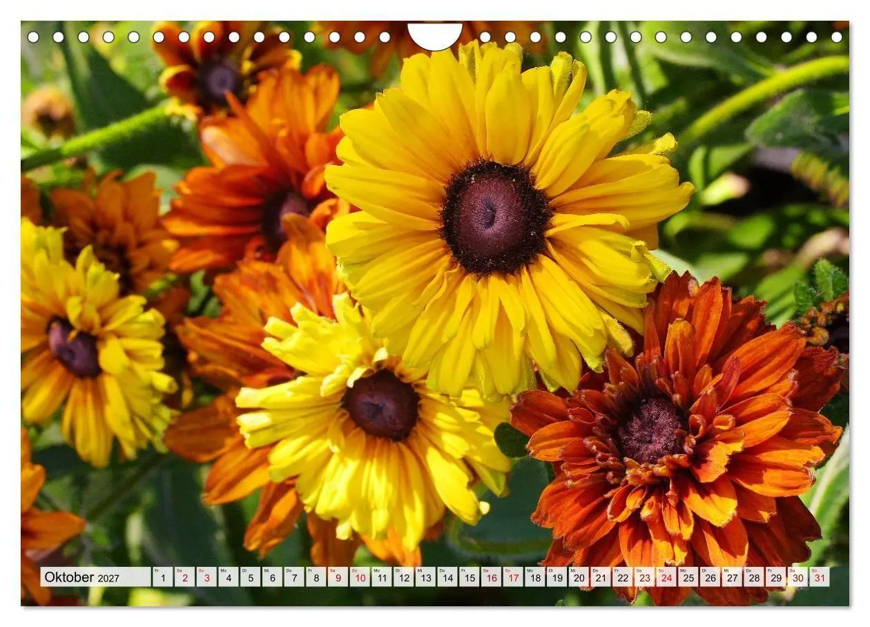 Bild: 9783516753912 | Blumen, bunt gemischt (Wandkalender 2027 DIN A4 quer), CALVENDO...