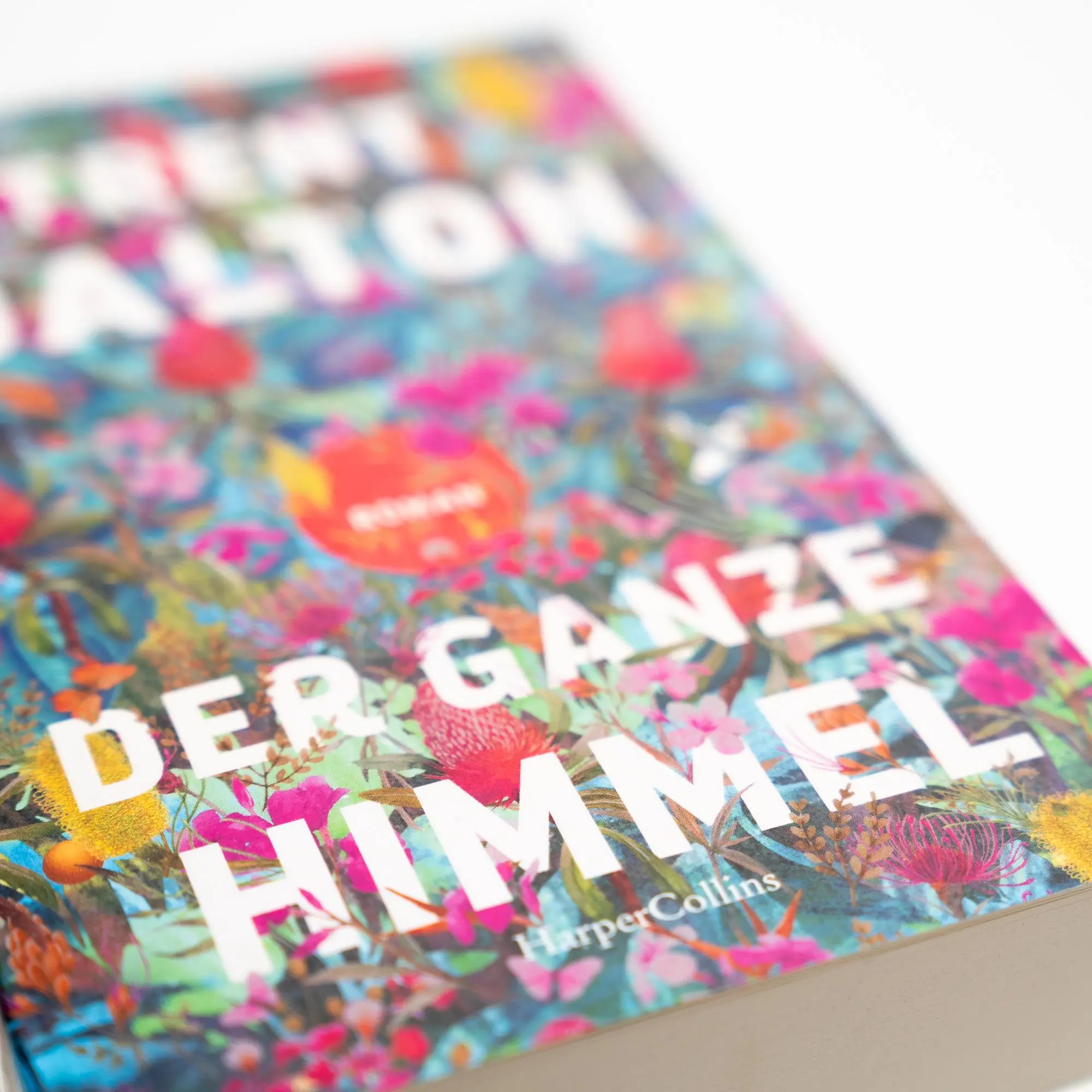 Bild: 9783365004012 | Der ganze Himmel | Trent Dalton | Taschenbuch | 512 S. | Deutsch